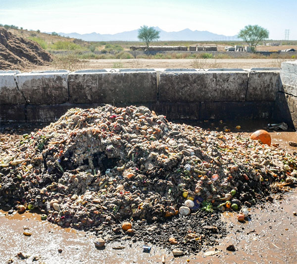Food Waste Recovery
