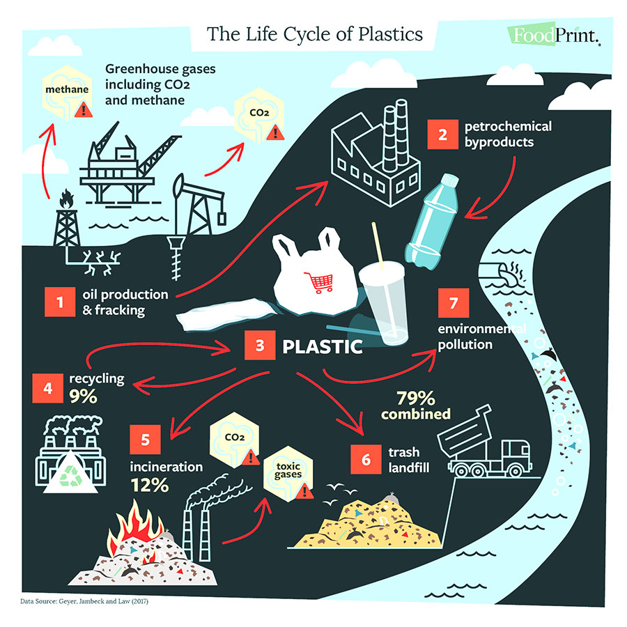 Life Cycle Plastics