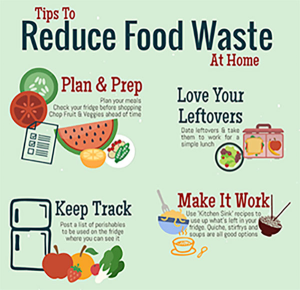 REDUCE FOOD WASTE